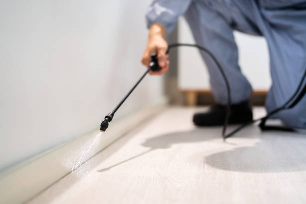 Licensed Fumigation Services service in Lebanon, IL - Nex Pest Control