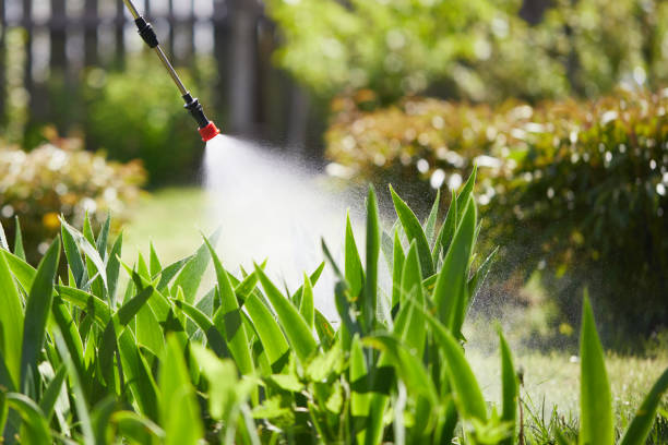 24/7 Emergency Fumigation Services experts in Lebanon, IL