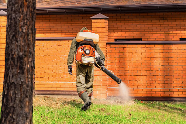 Trusted Ant Control service in Lebanon, IL - Nex Pest Control